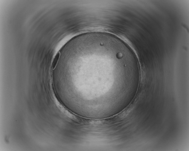 X0000103141389200809121744