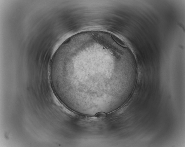 X0000103141390200809121744