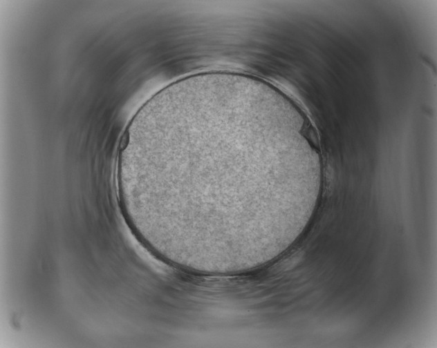 X0000103141391200809121744