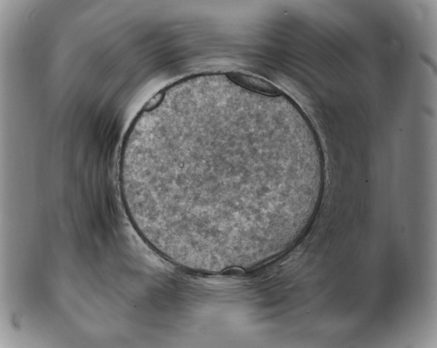 X0000103141392200809121744