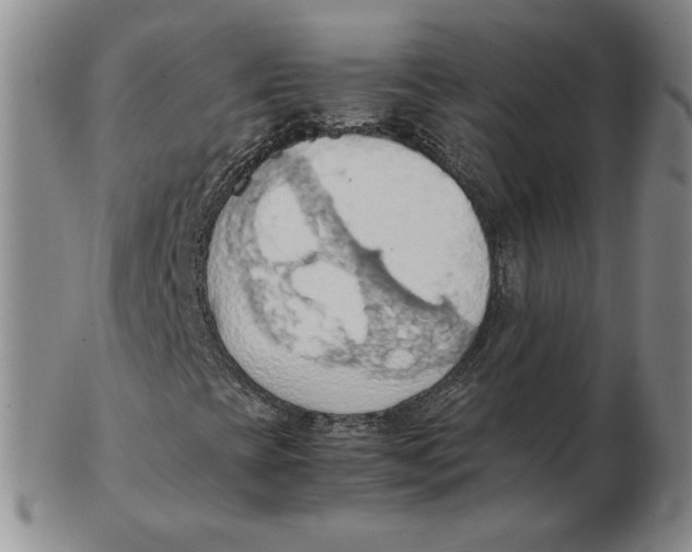 X0000103141393200809121743