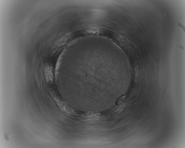 X0000103141394200809121743