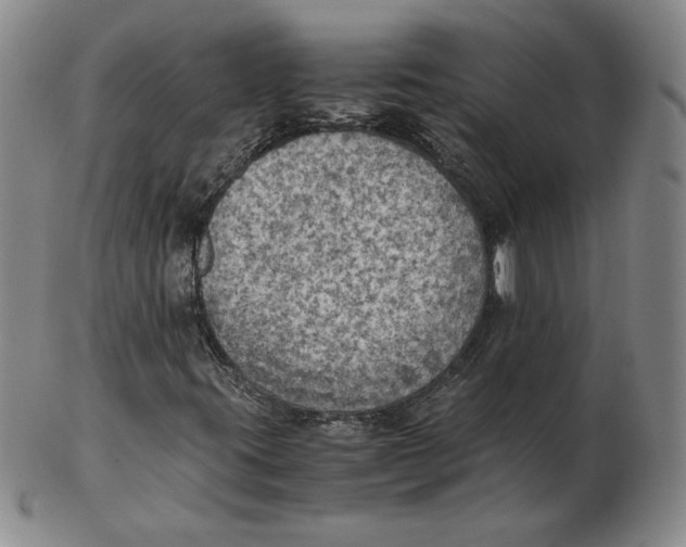 X0000103141395200809121743