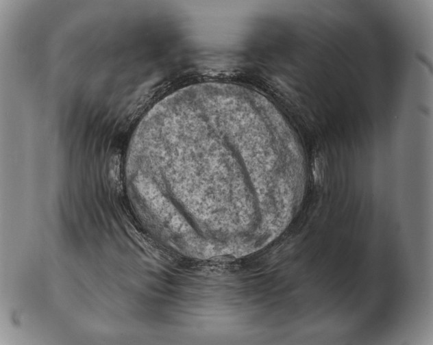 X0000103141396200809121743