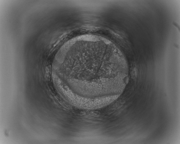 X0000103141397200809121743