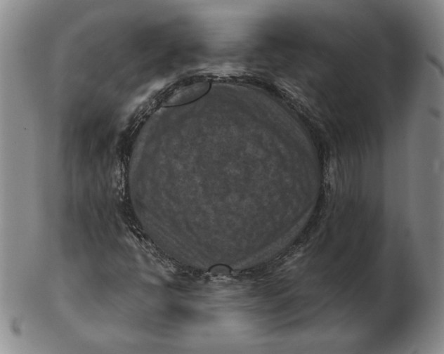 X0000103141398200809121743