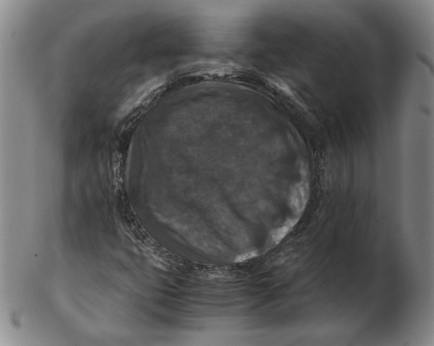 X0000103141399200809121743