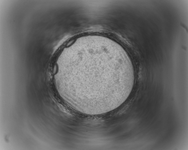 X0000103141400200809121743