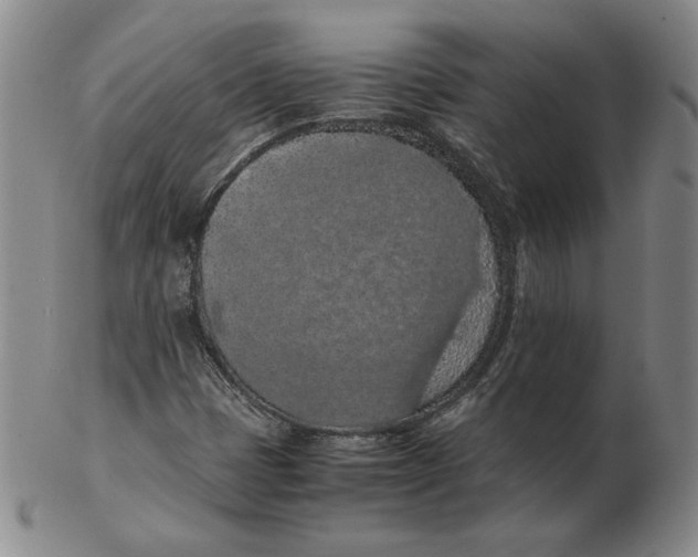 X0000103141401200809121743