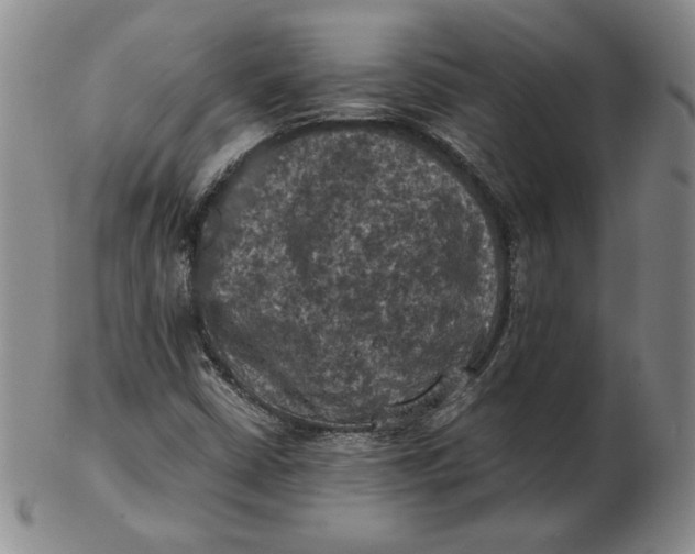 X0000103141402200809121743