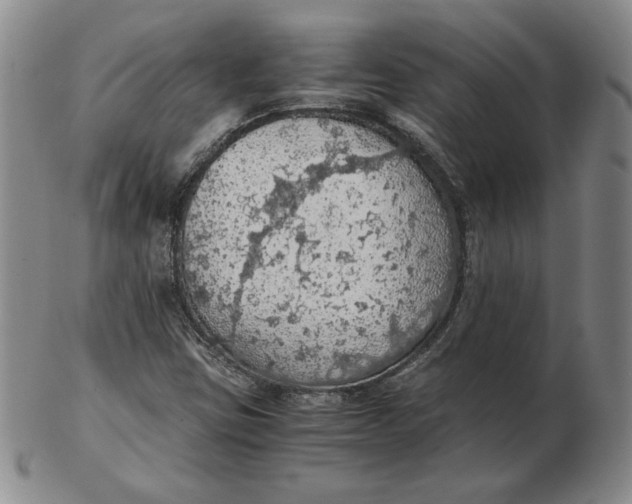 X0000103141403200809121743