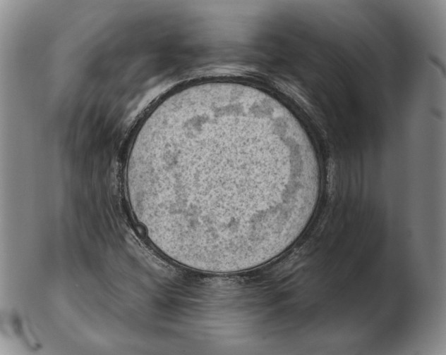 X0000103141404200809121743