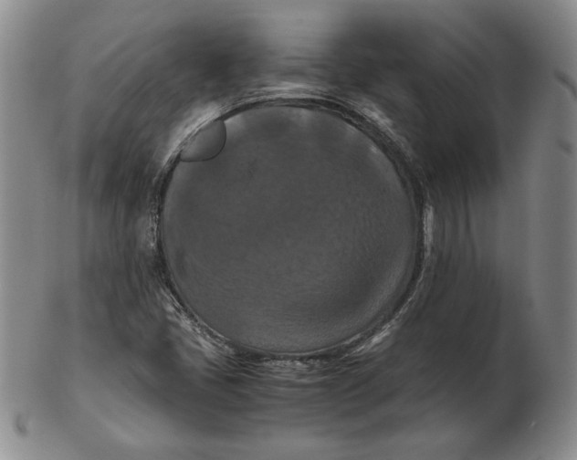 X0000103141405200809121743