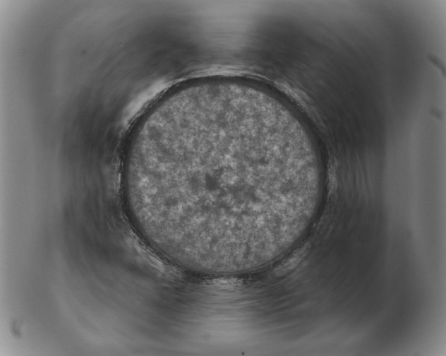 X0000103141406200809121744