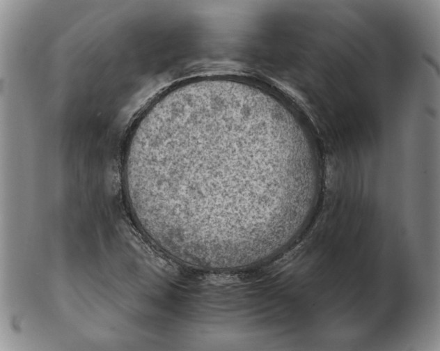 X0000103141407200809121744