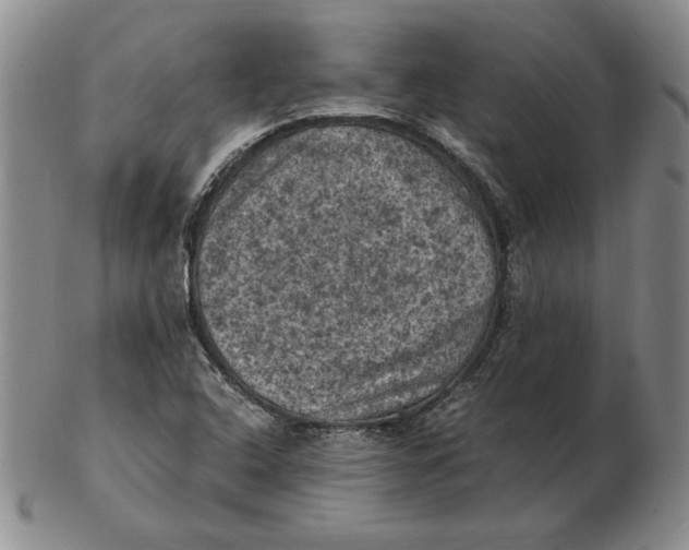 X0000103141408200809121744