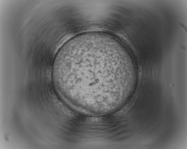 X0000103141409200809121744