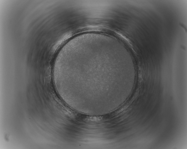 X0000103141411200809121744