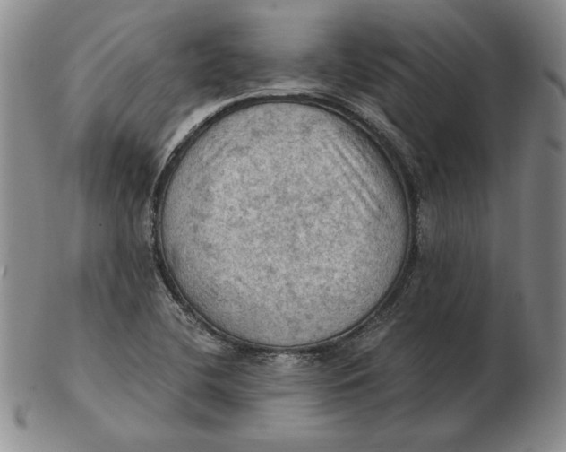 X0000103141412200809121744