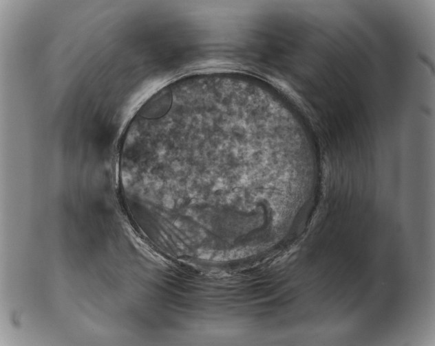 X0000103141413200809121744