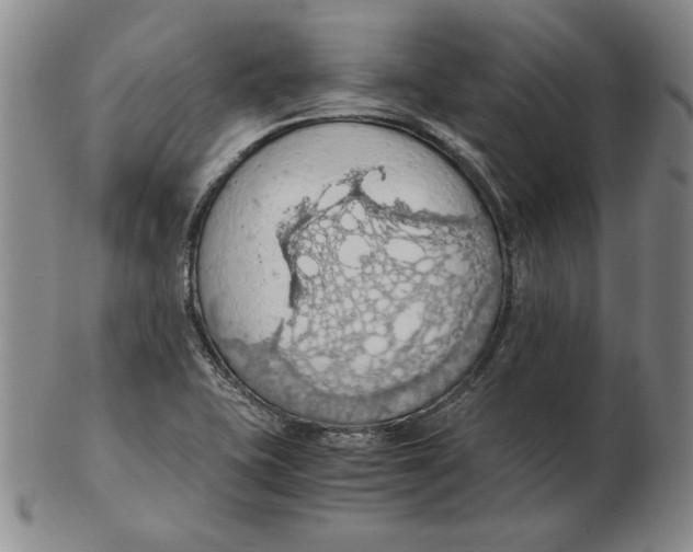 X0000103141415200809121744