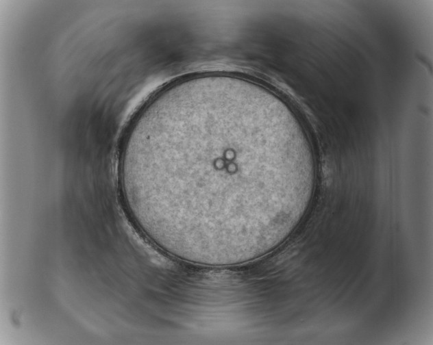 X0000103141416200809121744