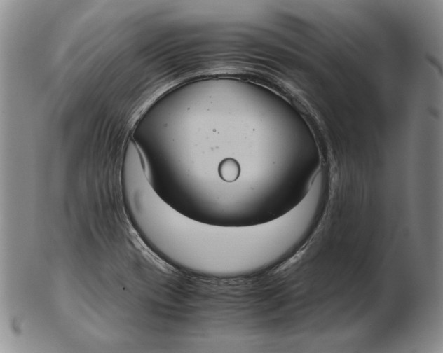 X0000103141417200809121744