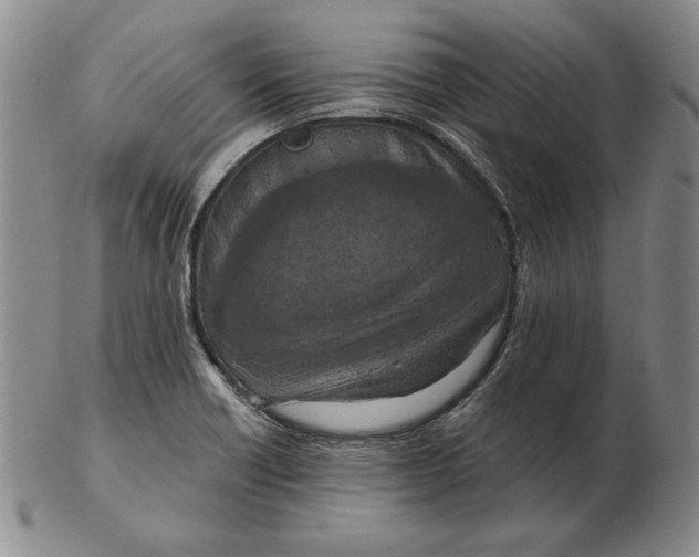 X0000103141418200809121744