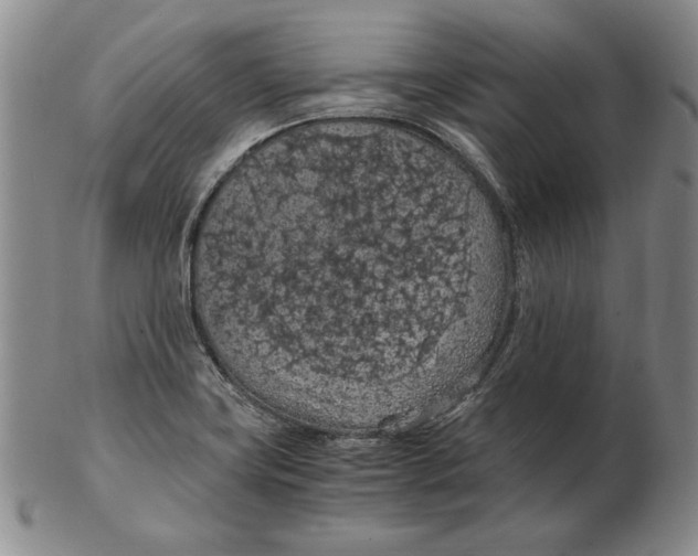 X0000103141419200809121744