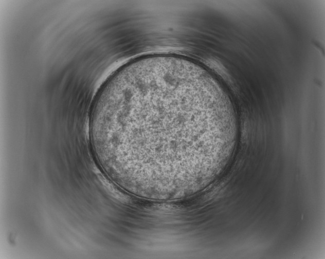 X0000103141420200809121744