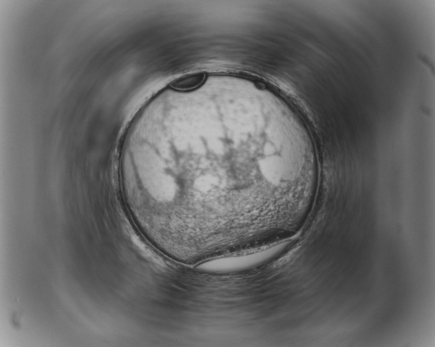 X0000103141421200809121744