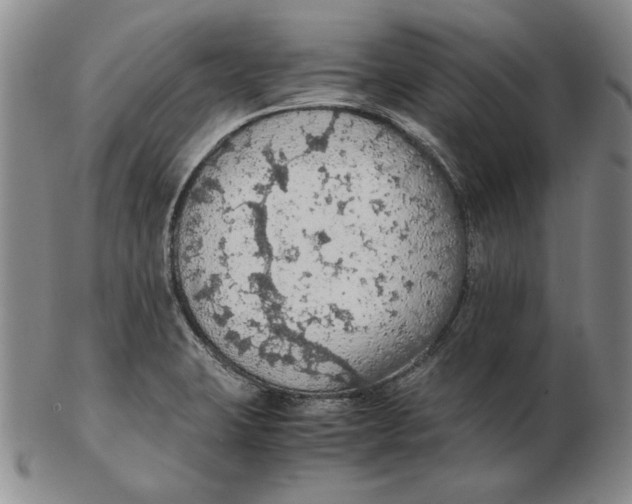 X0000103141423200809121744