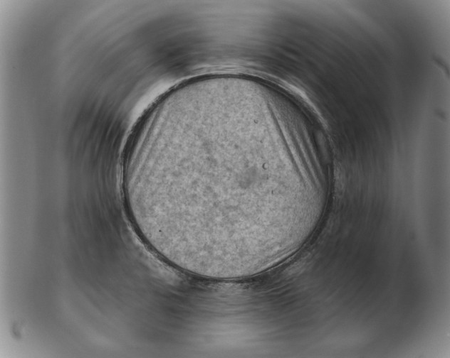 X0000103141424200809121744