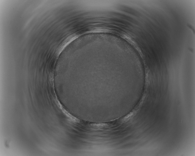 X0000103141425200809121744