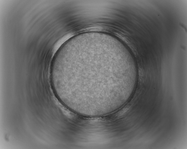 X0000103141426200809121744