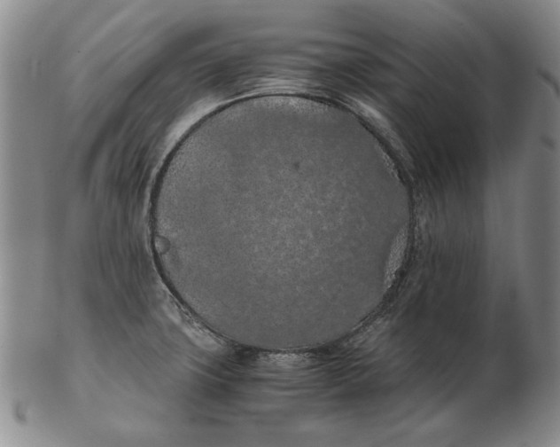 X0000103141427200809121744