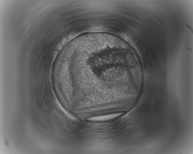 X0000103141429200809121744