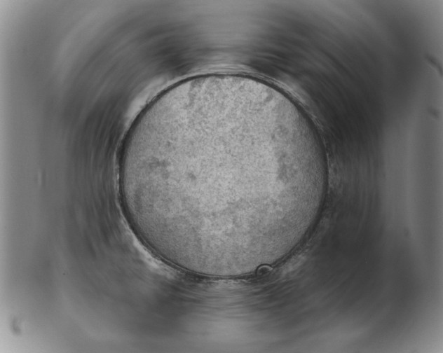 X0000103141430200809121744