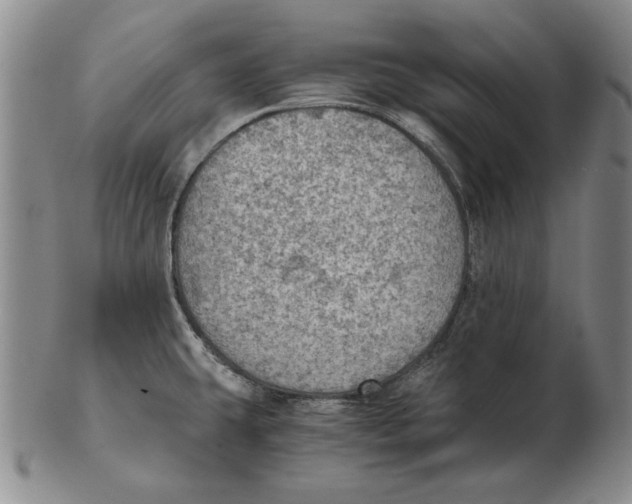 X0000103141431200809121744