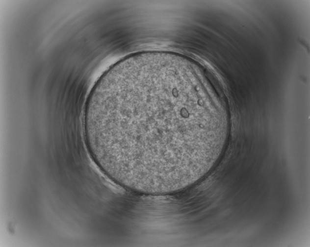 X0000103141432200809121744