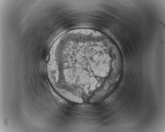 X0000103141433200809121744