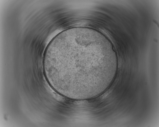 X0000103141434200809121744