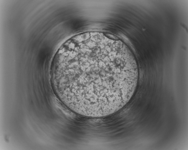 X0000103141435200809121744