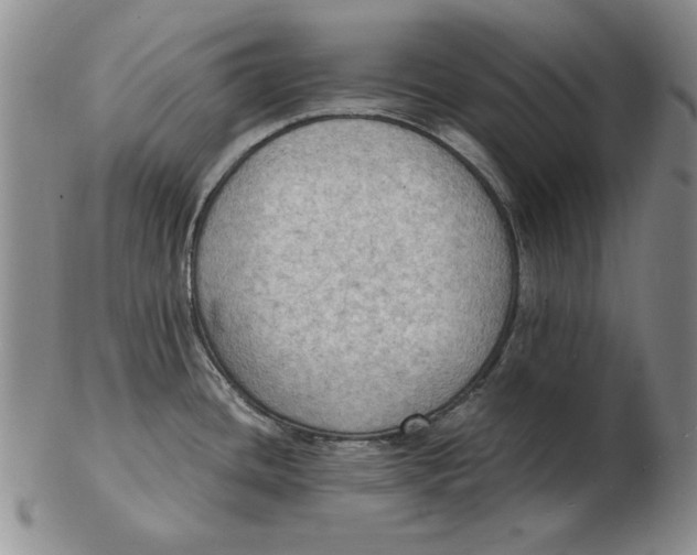 X0000103141436200809121744