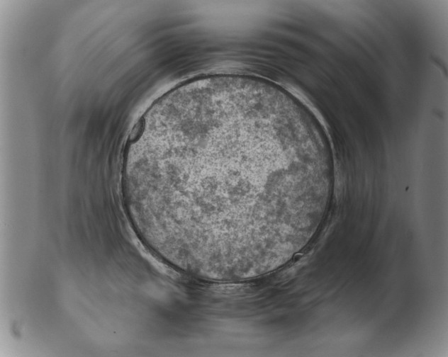 X0000103141437200809121744