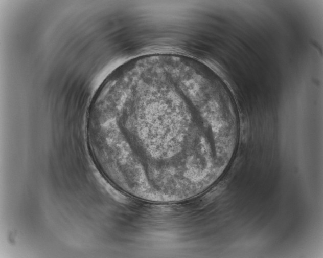 X0000103141438200809121744