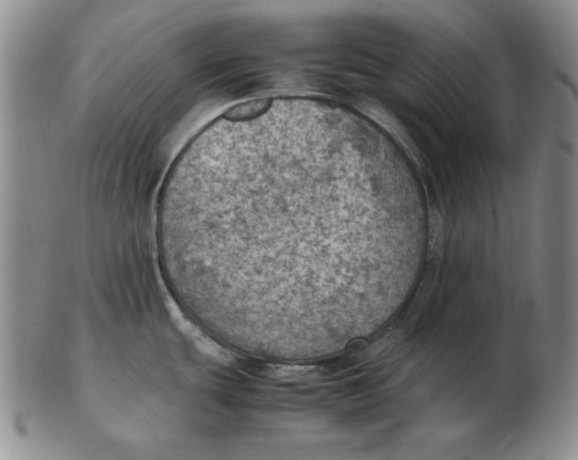 X0000103141439200809121744