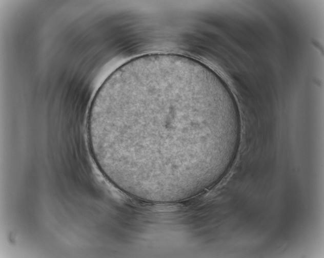 X0000103141440200809121744