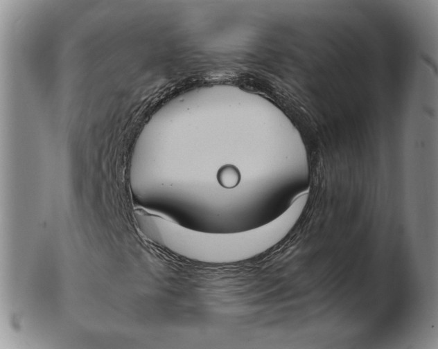 X0000103141441200809121743