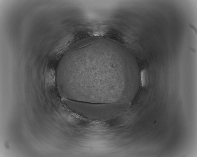 X0000103141443200809121743